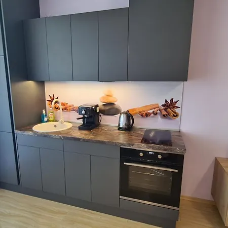 Apartmán Naser Silver *